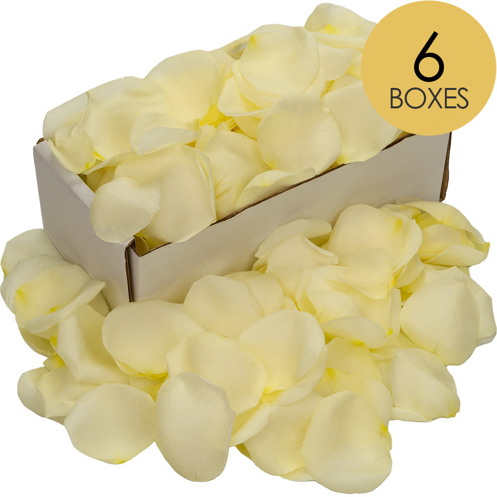 6 Boxes of White Rose Petals