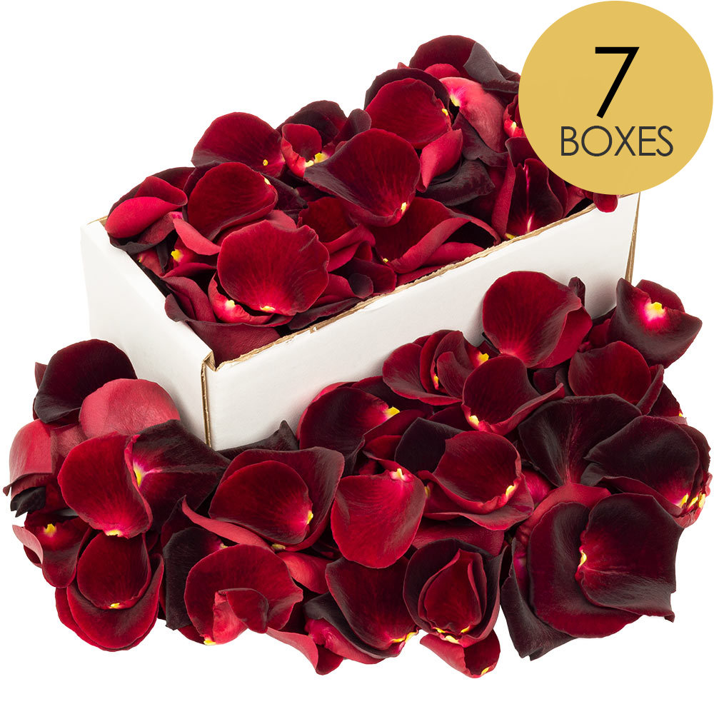 7 Boxes of Black Baccara Rose Petals