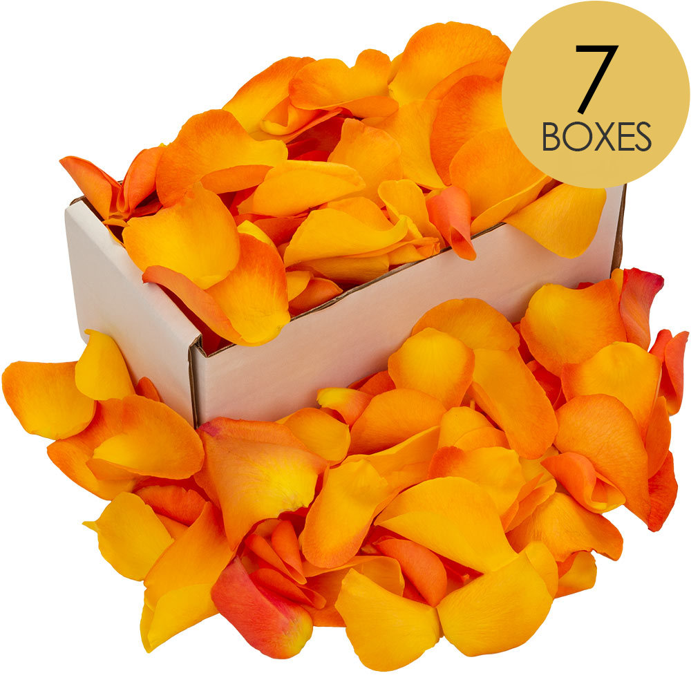 7 Boxes of Orange Rose Petals