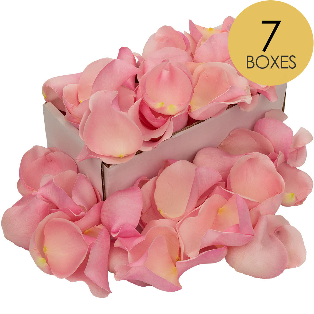 7 Boxes of Pink Rose Petals