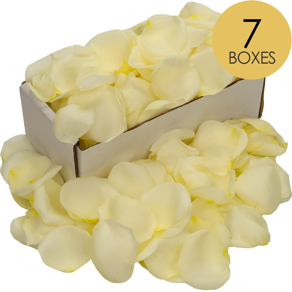 7 Boxes of White Rose Petals