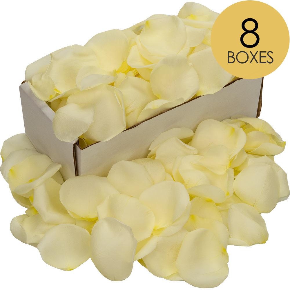 8 Boxes of White Rose Petals