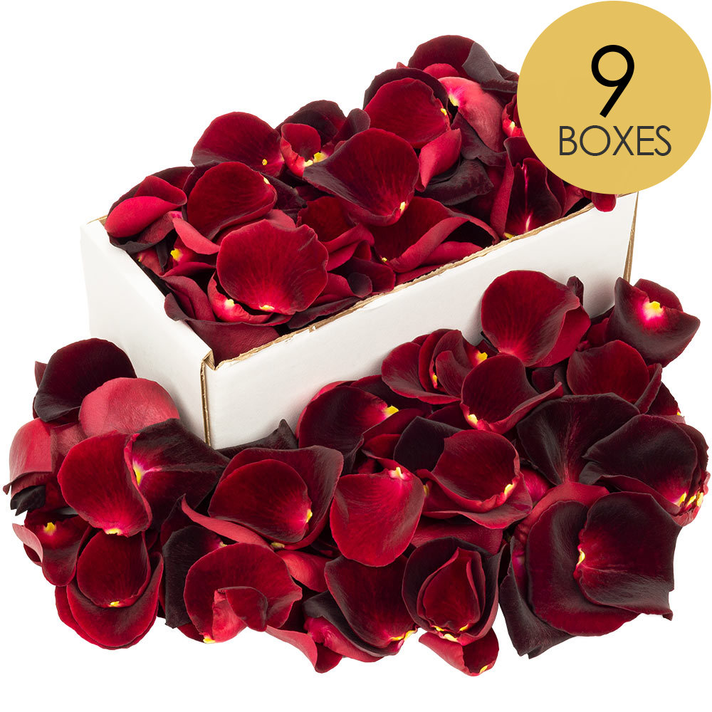 9 Boxes of Black Baccara Rose Petals