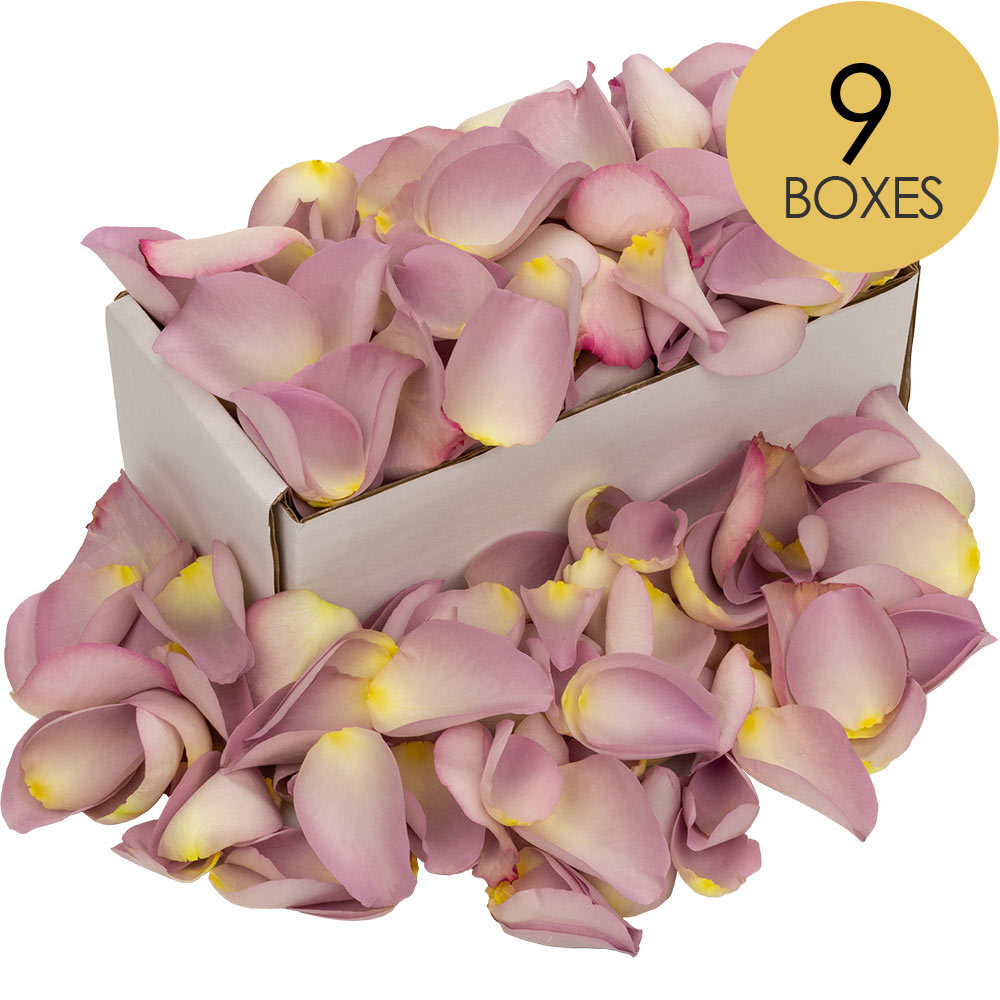 9 Boxes of Lilac Rose Petals