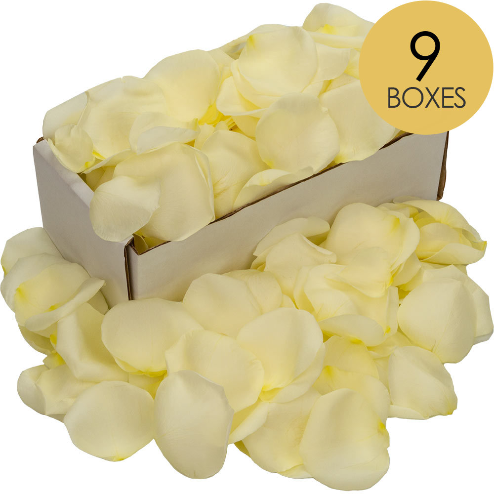 9 Boxes of White (Avalanche) Rose Petals