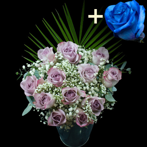Buy Blue Roses Online with Free Delivery from interROSE