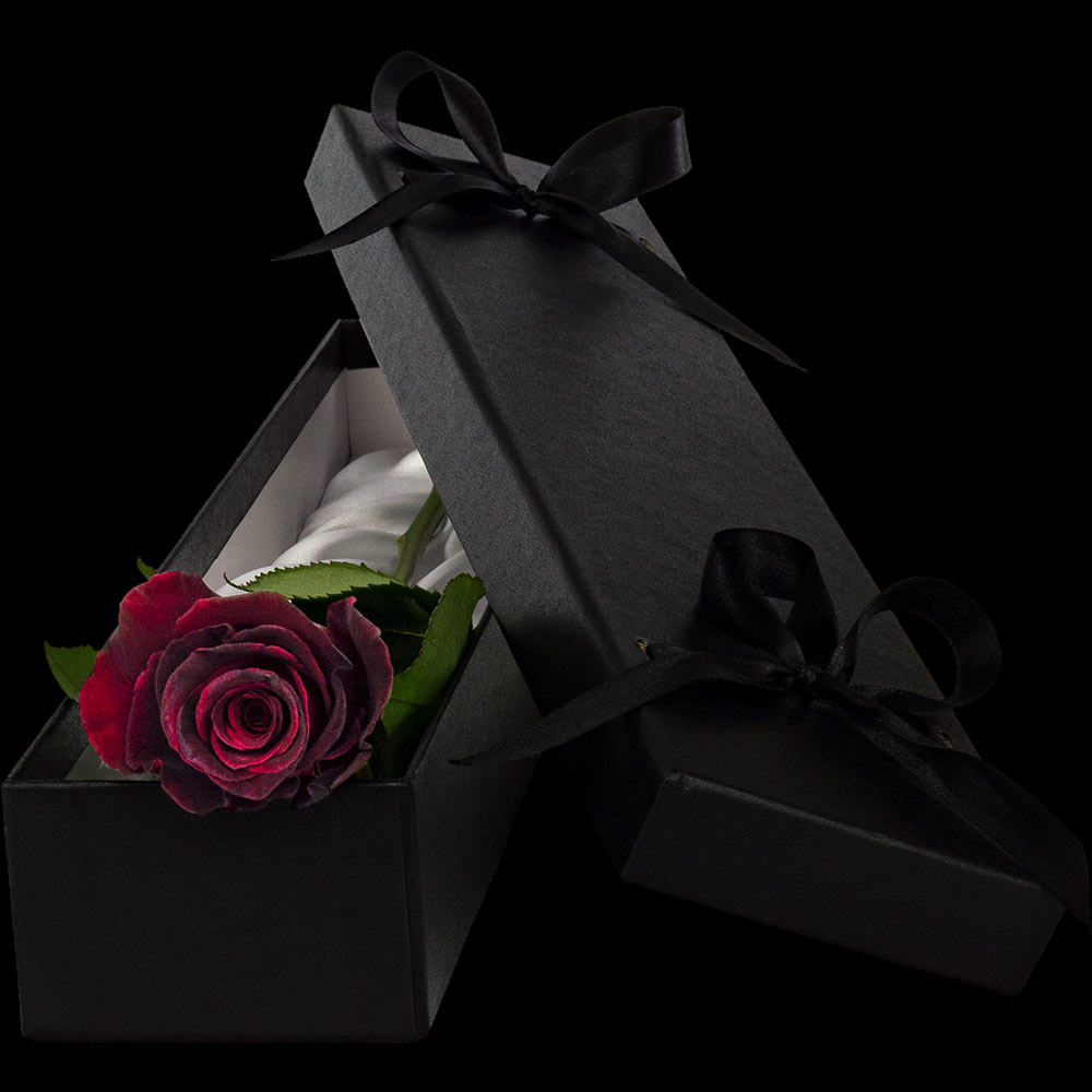 Luxury Single Black Baccara Rose