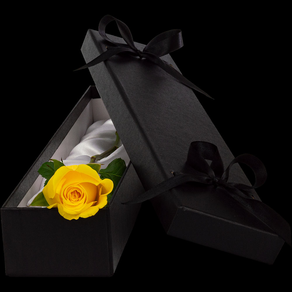 Buy Single Luxury Yellow Rose from a Real High Street Florist dedicated
