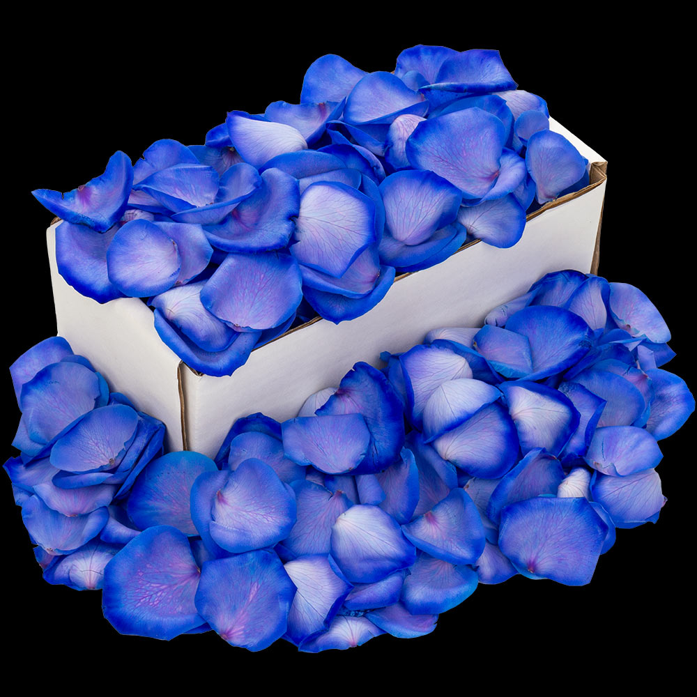 A box of blue rose petals