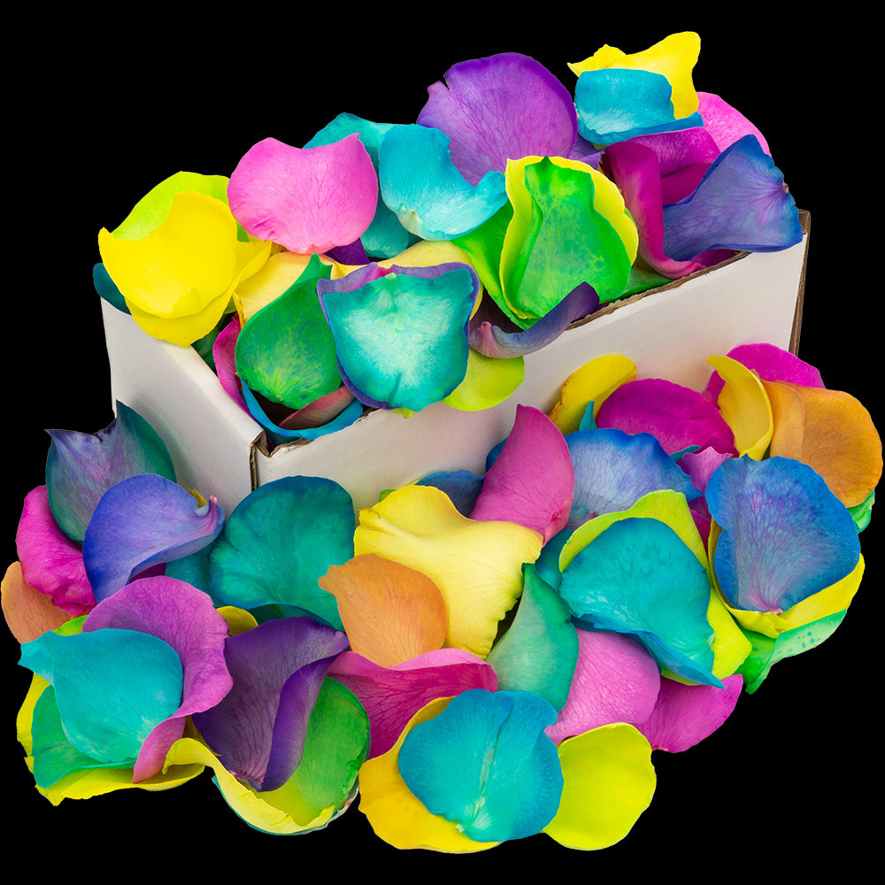 1 Box of Happy (Rainbow) Rose Petals