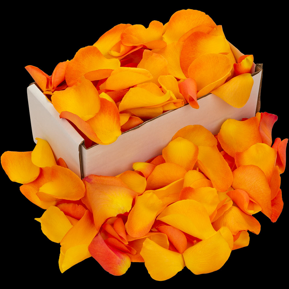 A box of orange rose petals