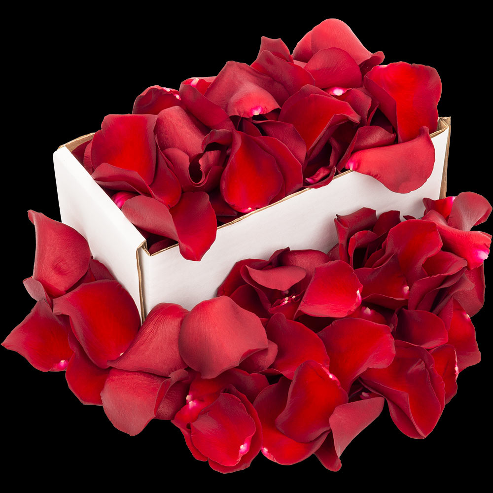 1 Box of Red Rose Petals