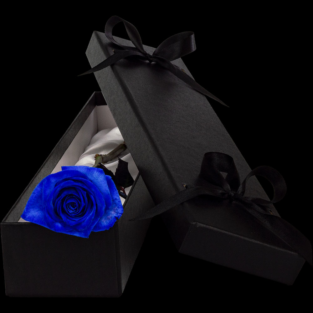  Single Luxury Blue Rose