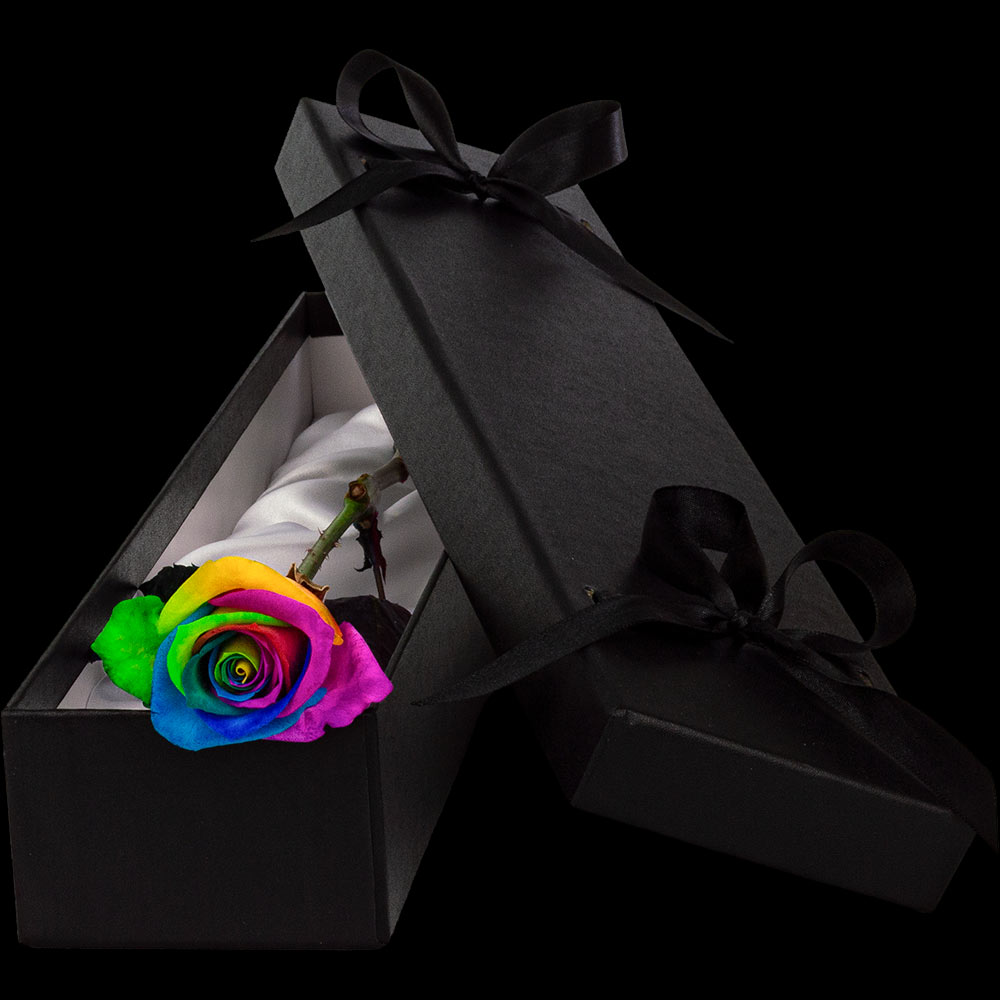  Single Luxury Happy (Rainbow) Rose