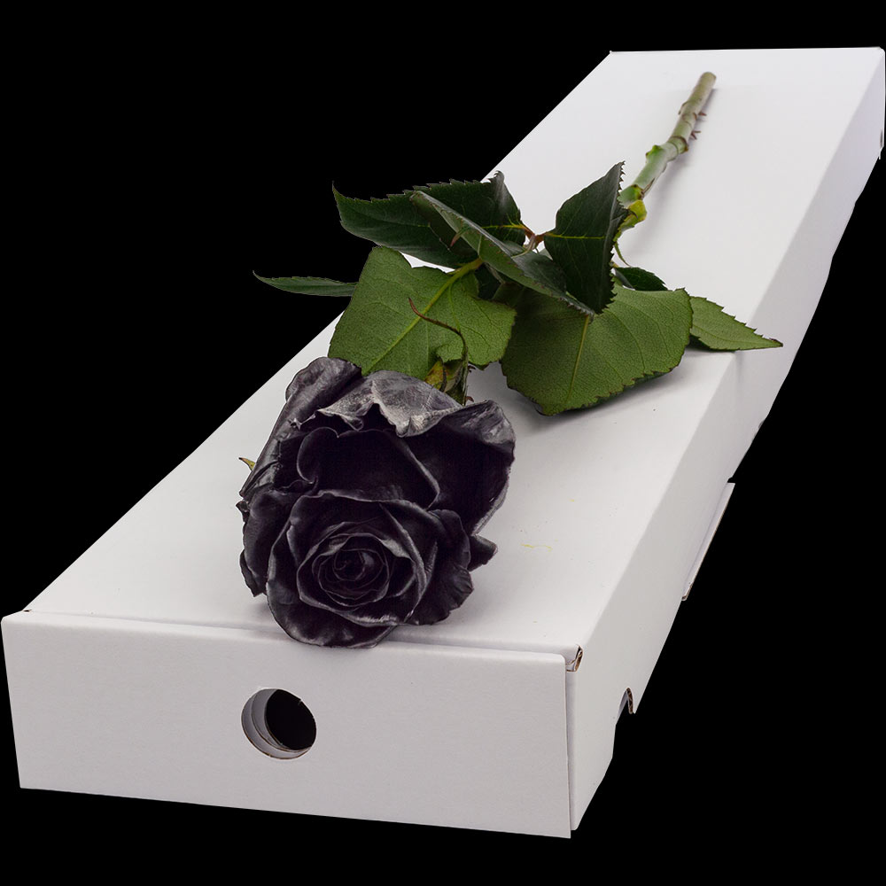  Single Letterbox Black Rose