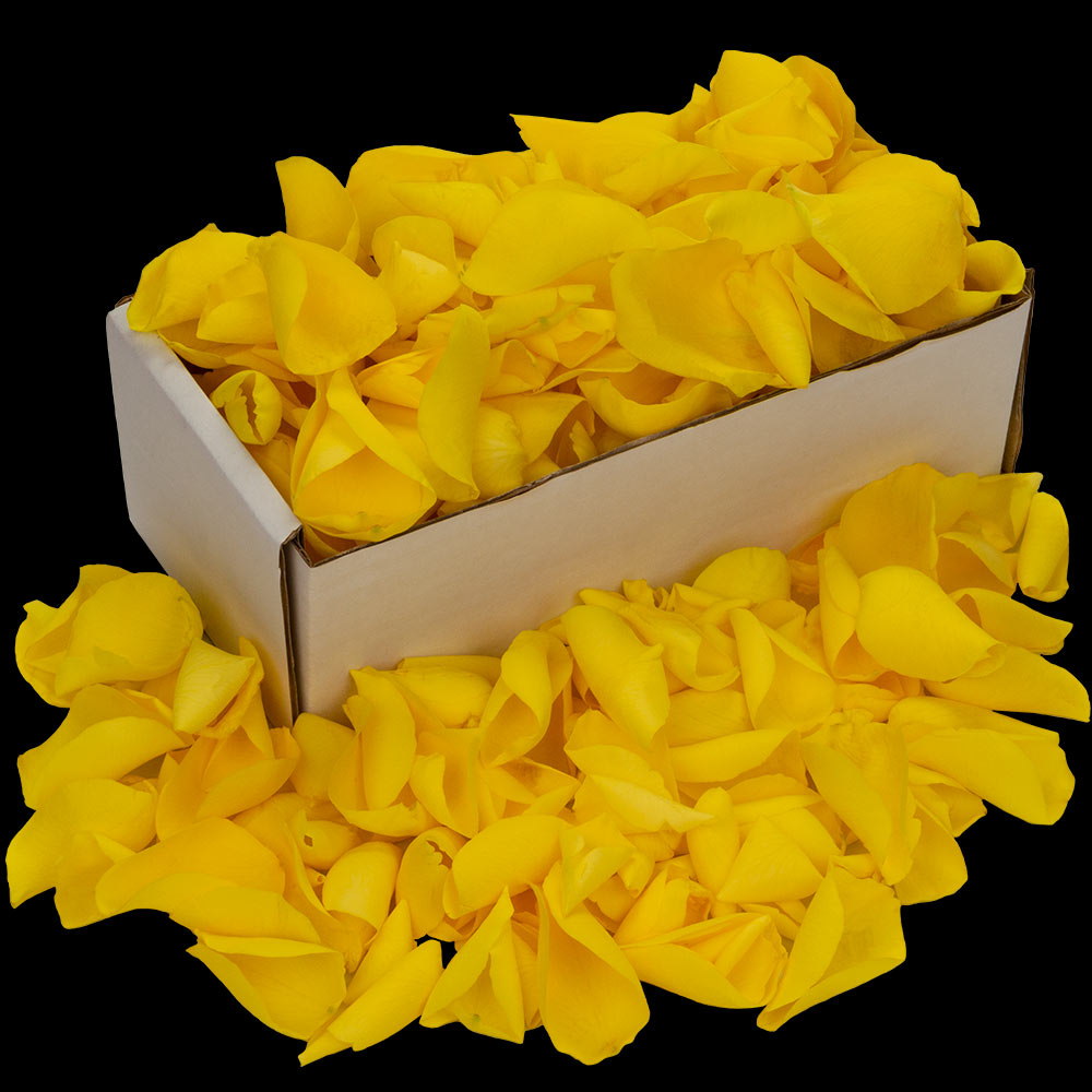 1 Box of Yellow Rose Petals