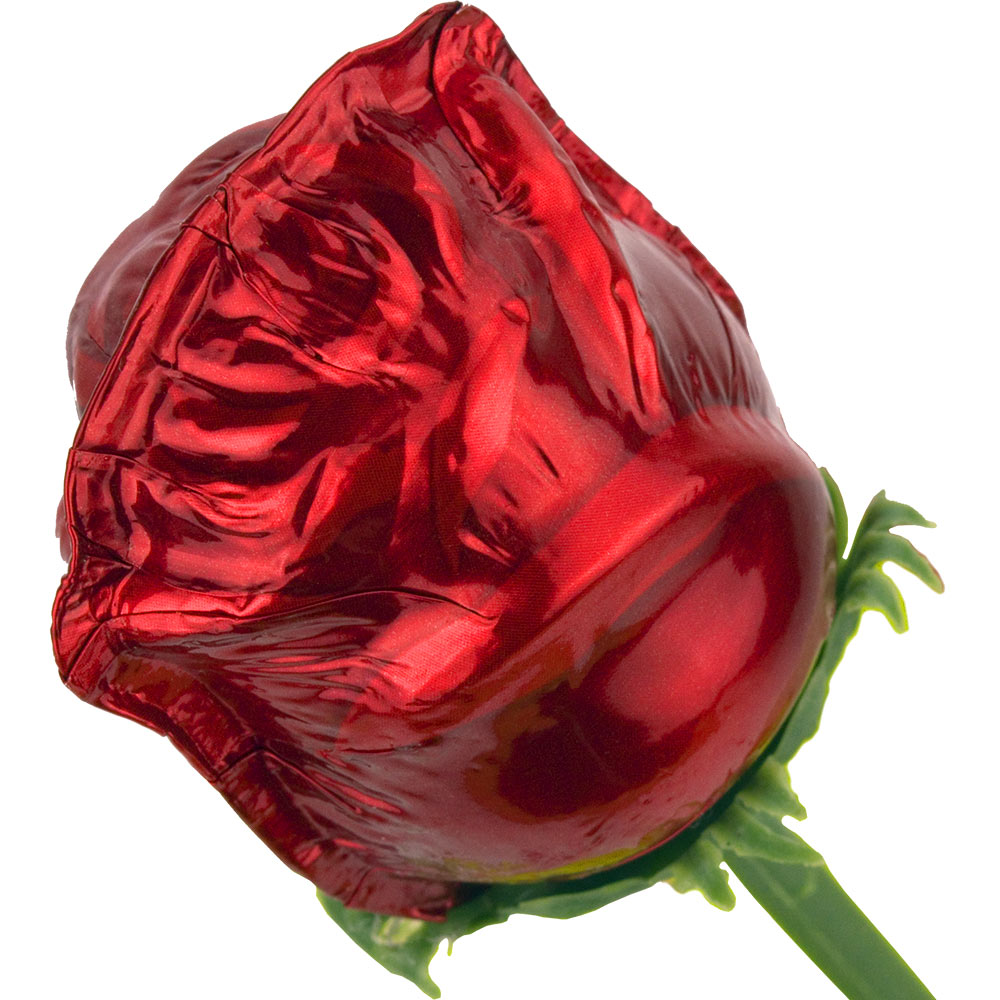 A single Chocolate rose