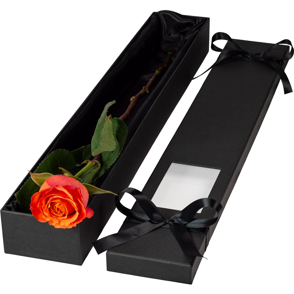 Image of Single Luxury Orange Rose