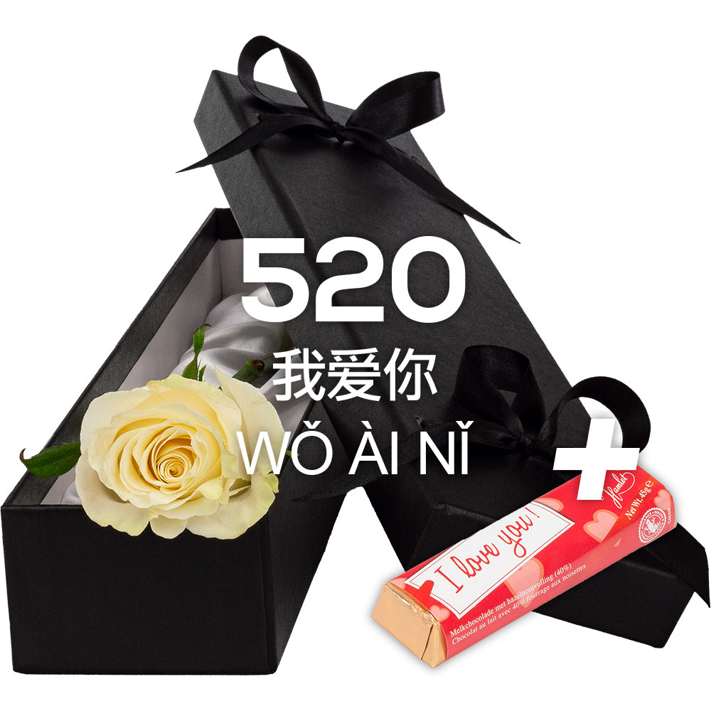 Single Luxury White Rose with ILU Chocs