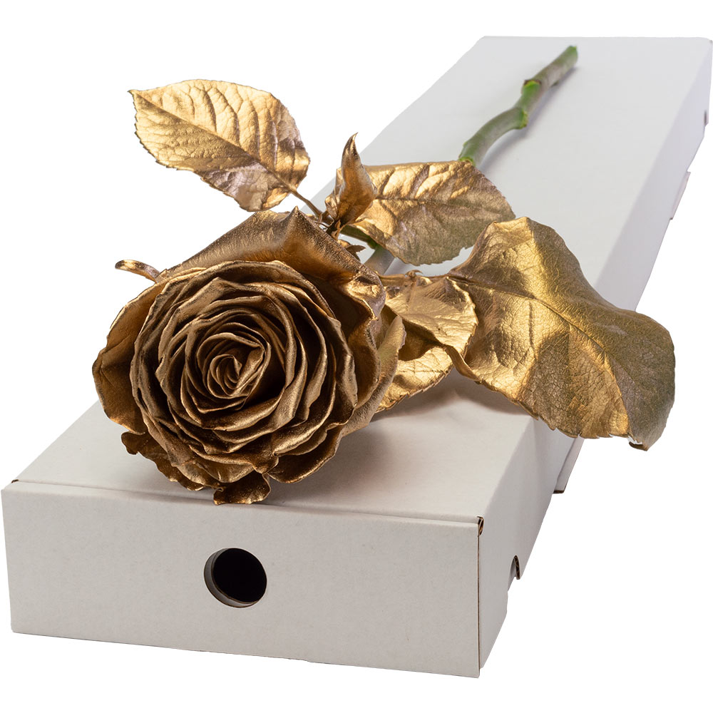 Single Letterbox Gold (Sprayed) Rose image