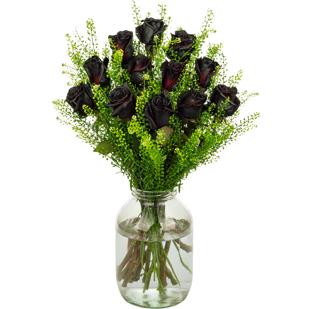 12 Black (Painted) Roses