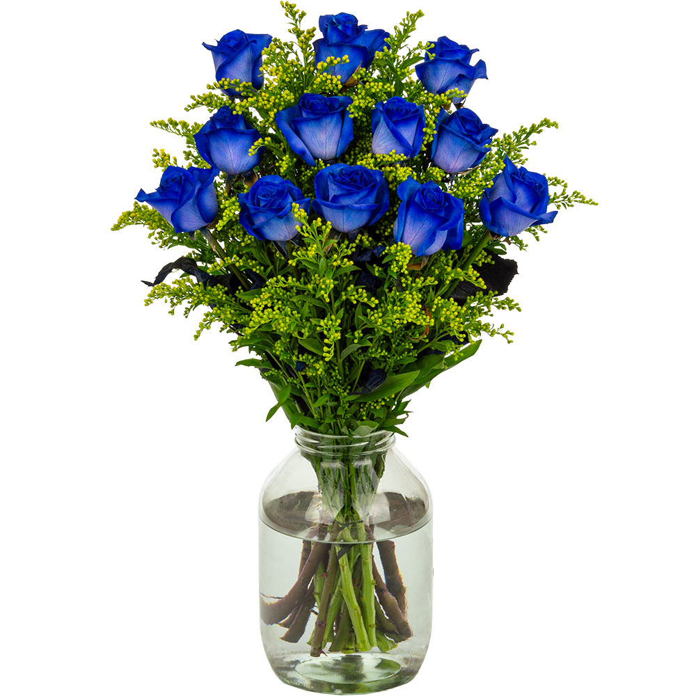 Image of 12 Blue (Dyed) Roses