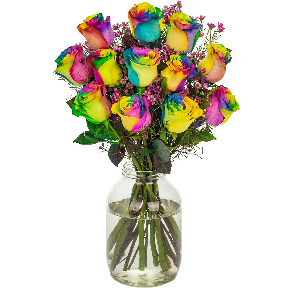 12 Happy (Rainbow) Roses image