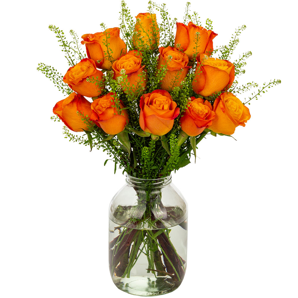 12 Orange Roses image