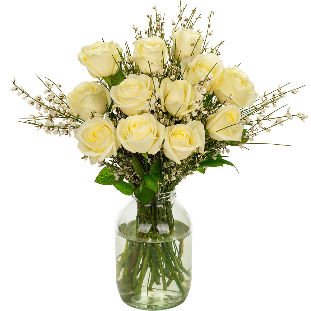 12 White (Avalanche) Roses