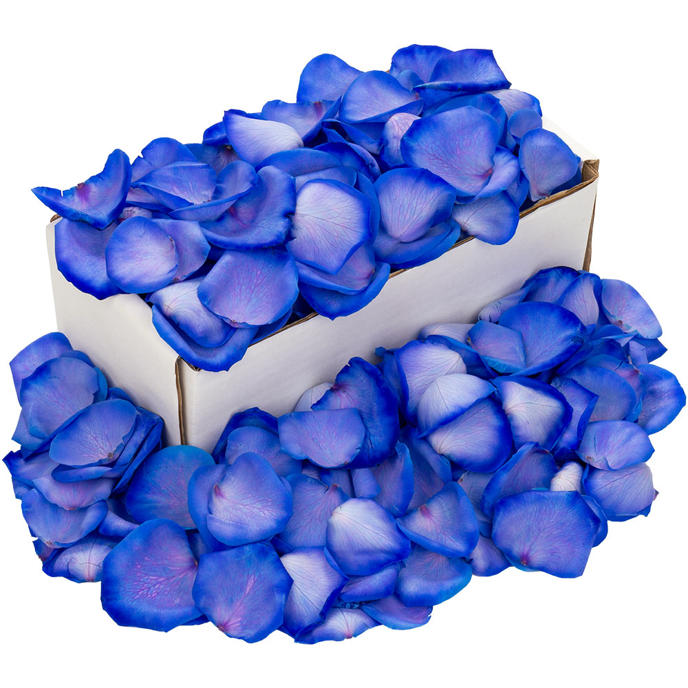 A box of blue rose petals