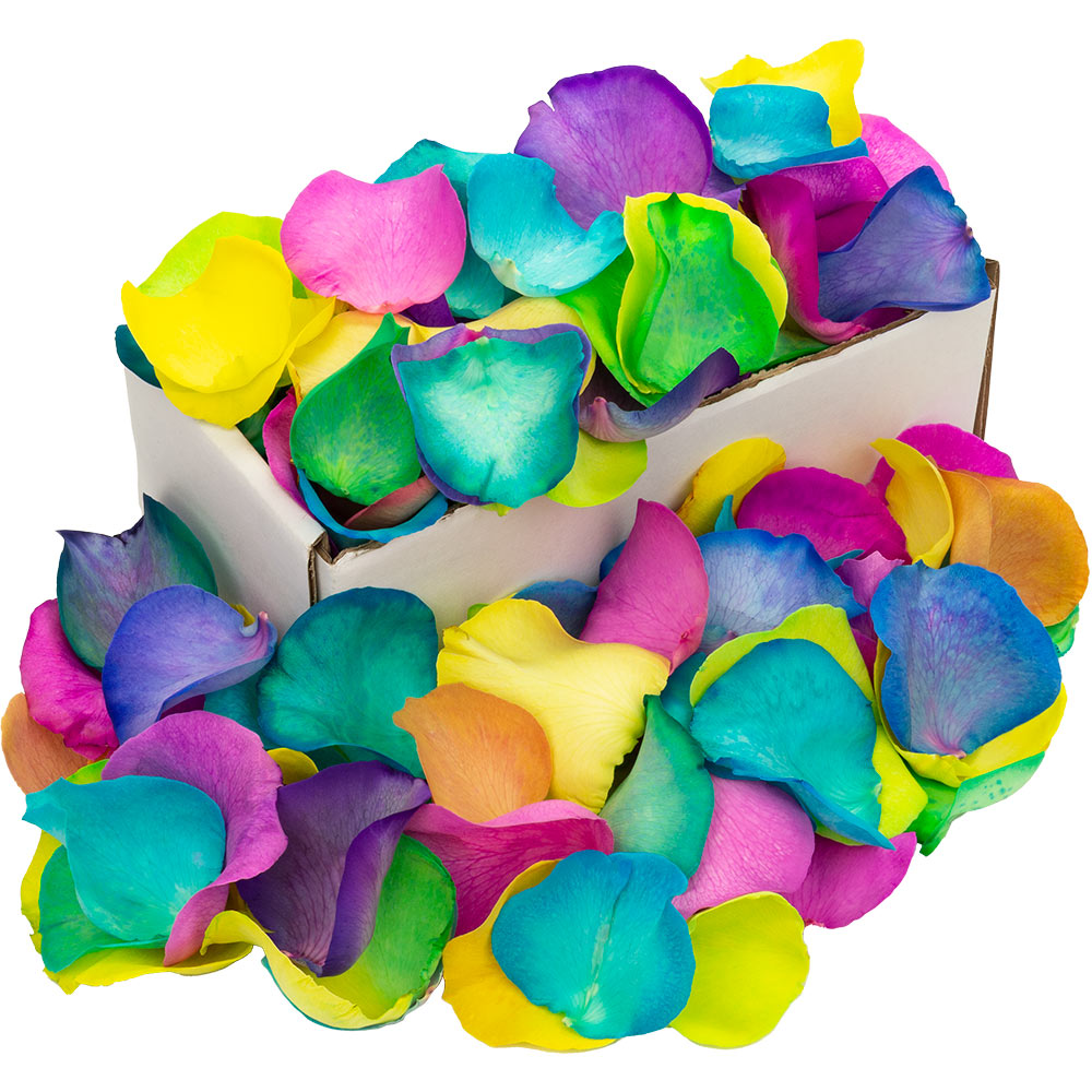 Image of Box of Fresh Happy (Rainbow) Rose Petals