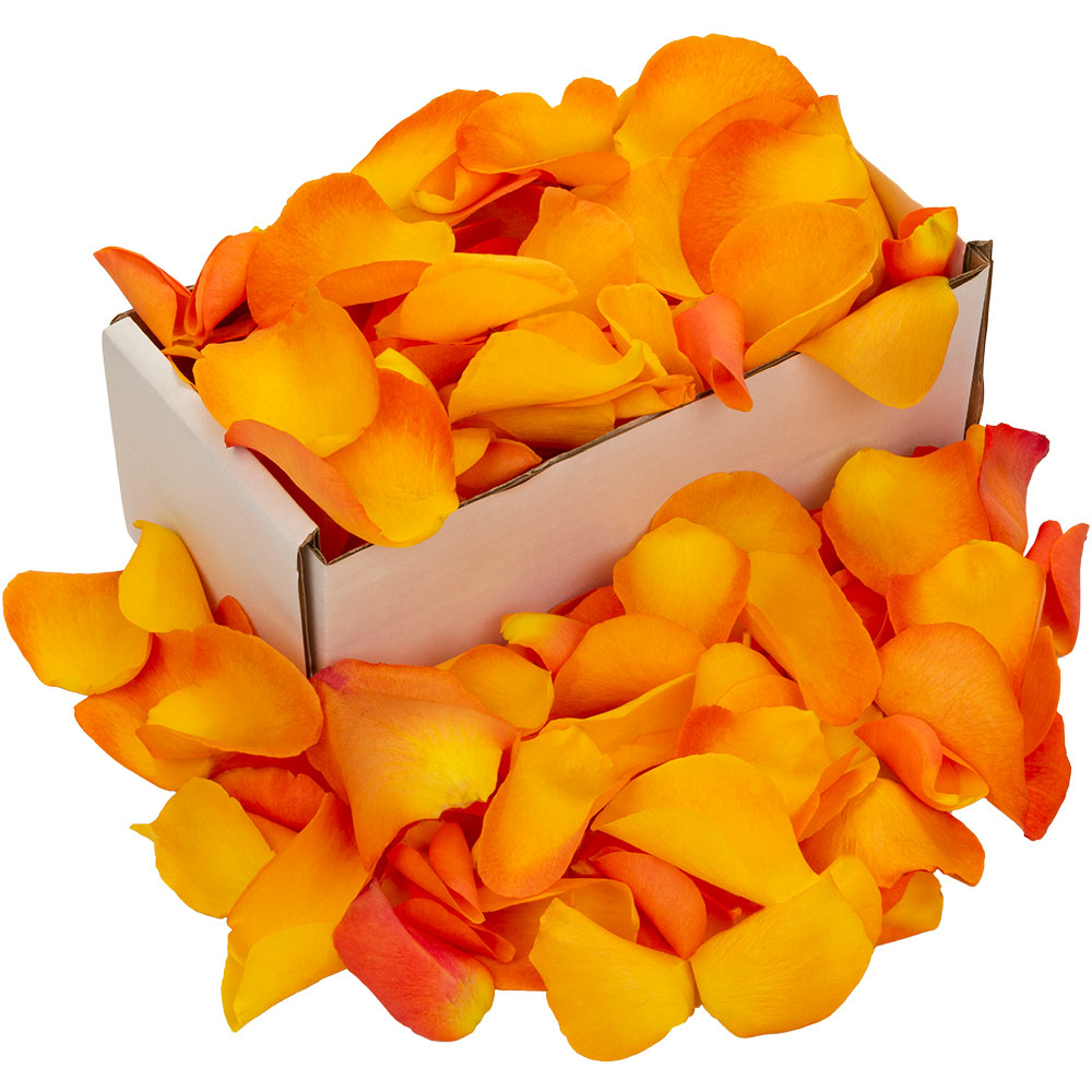 Image of Box of Fresh Orange Rose Petals