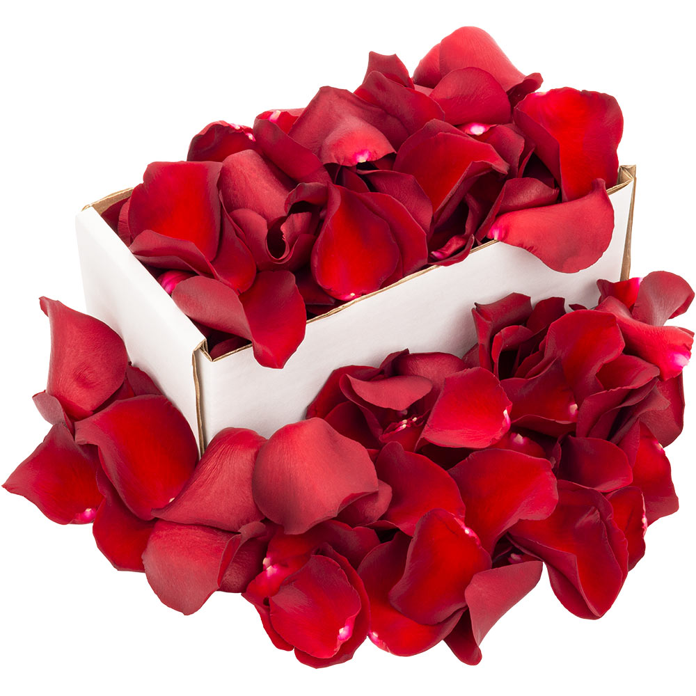 A box of red rose petals