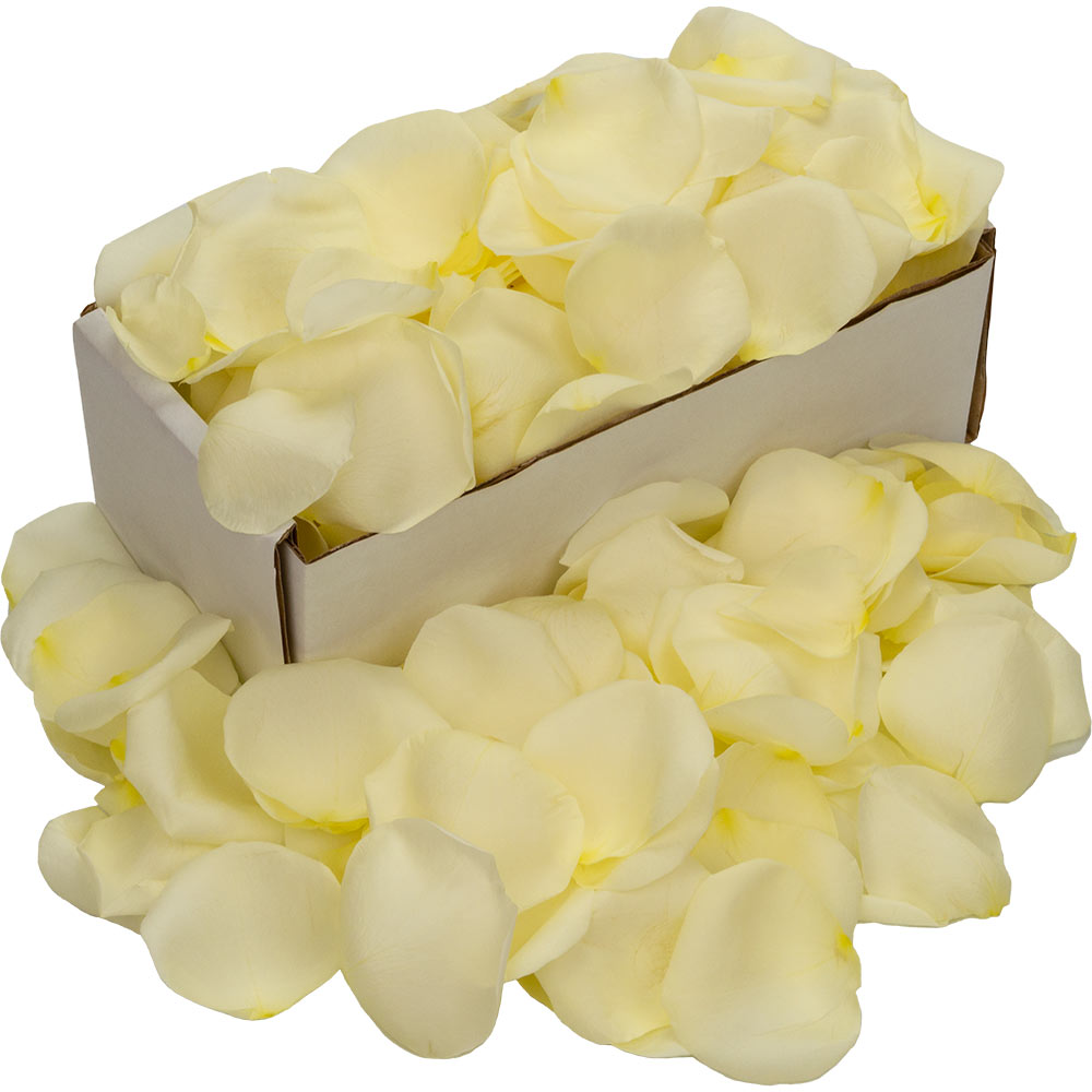A box of white rose petals