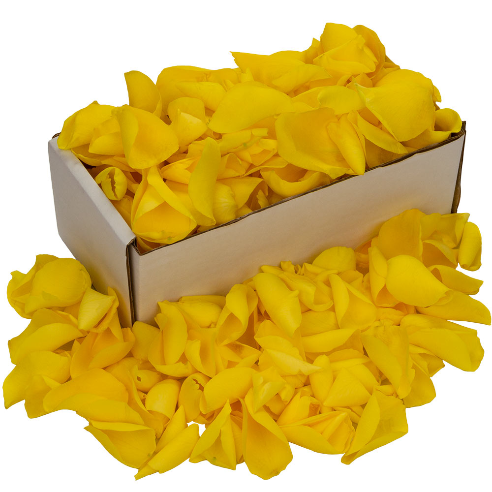 Image of Box of Fresh Yellow Rose Petals