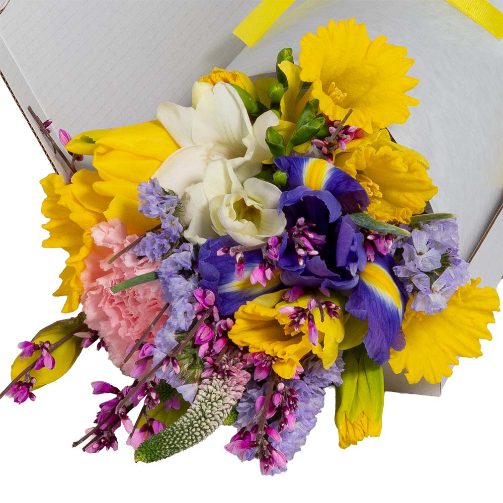 Letterbox Spring Mix