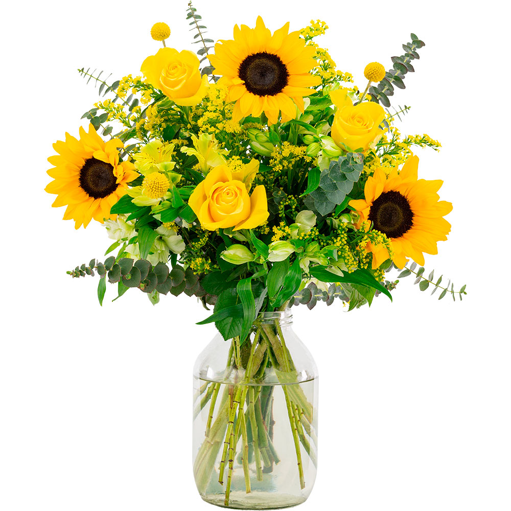 The Sunshine
