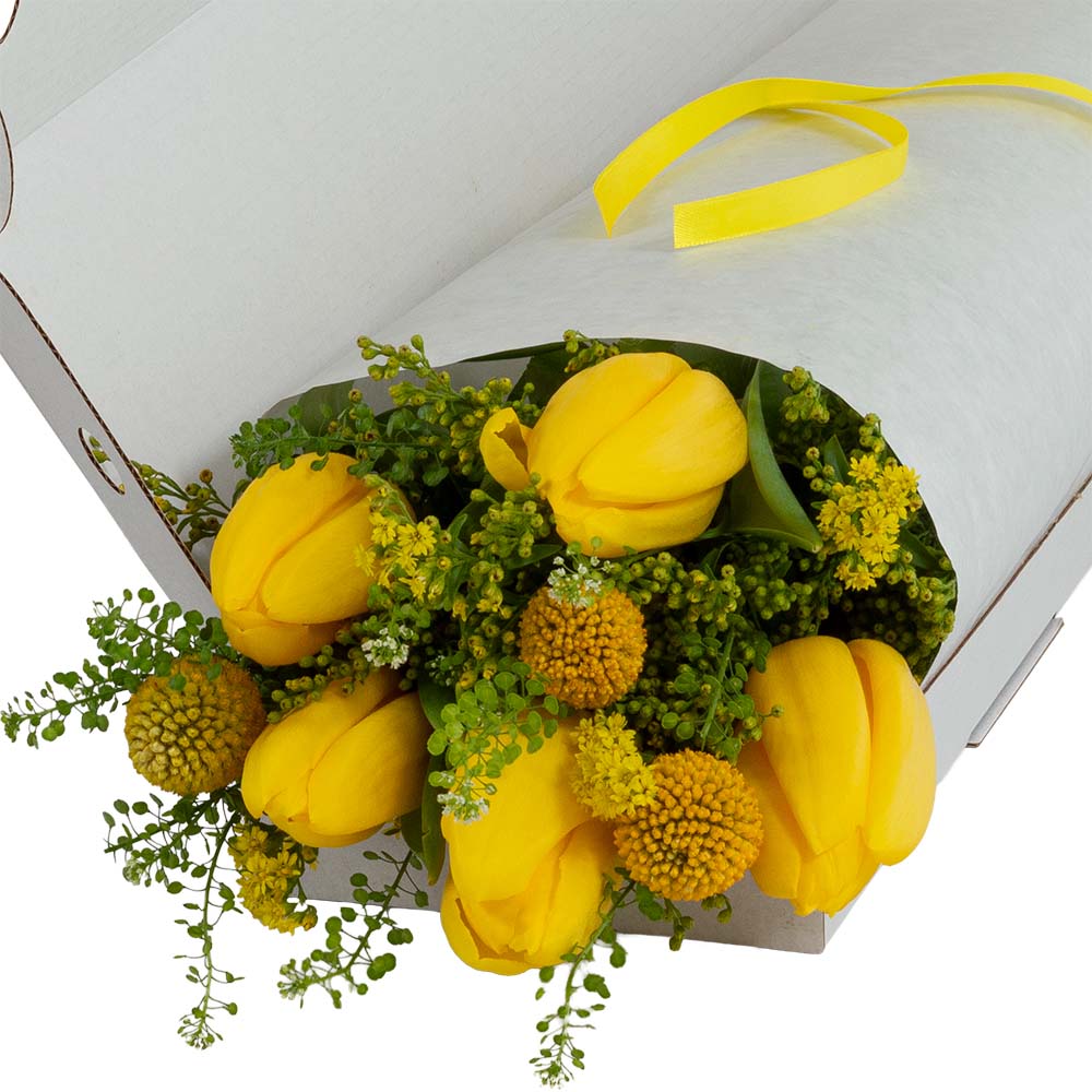 Letterbox Tulip Time