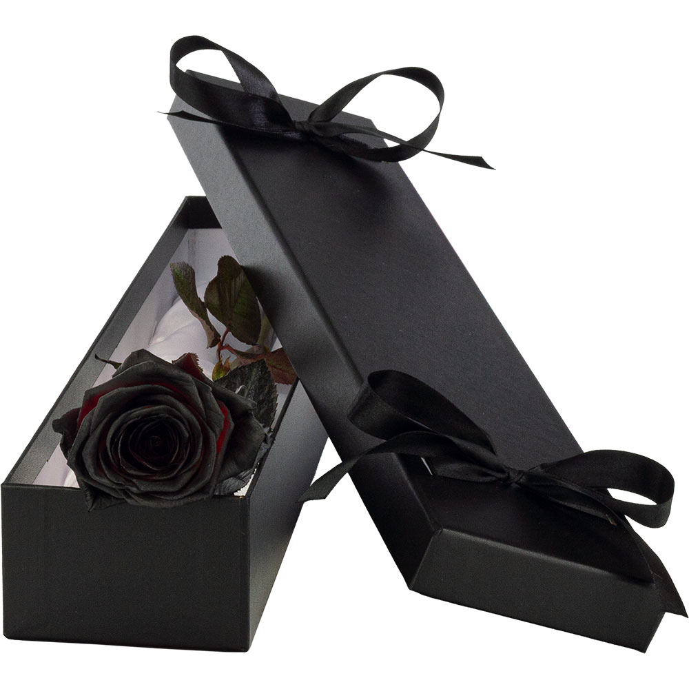 Single Luxury Black (Painted) Rose