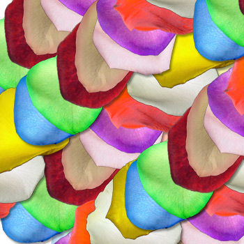 2 Boxes of Rose Petals