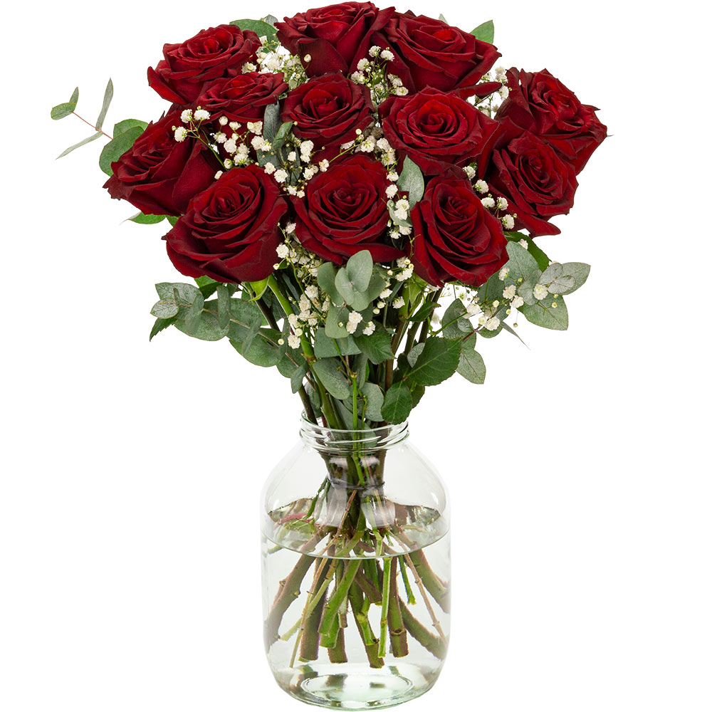 12 Red (Naomi) Roses