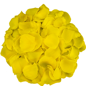 Yellow petals