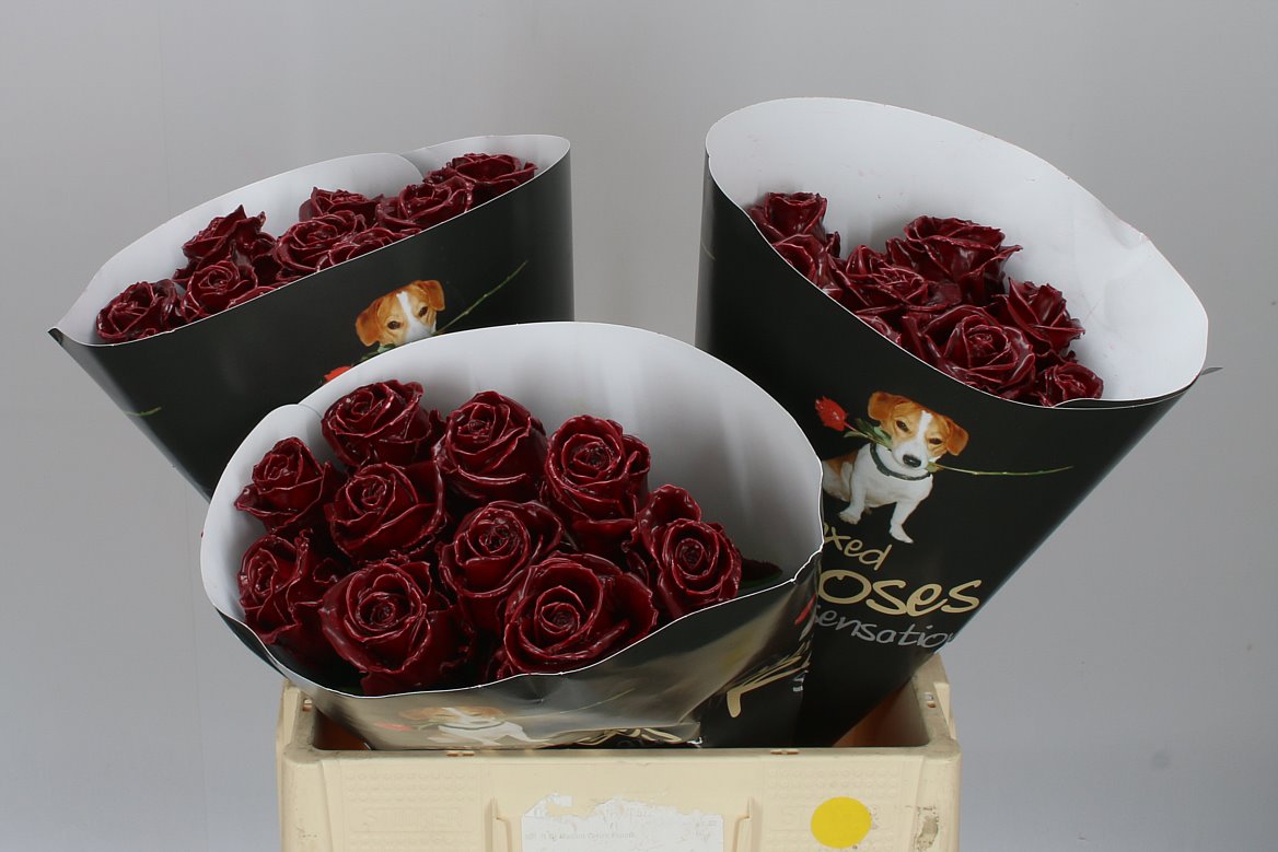 Wax Bordeaux Roses